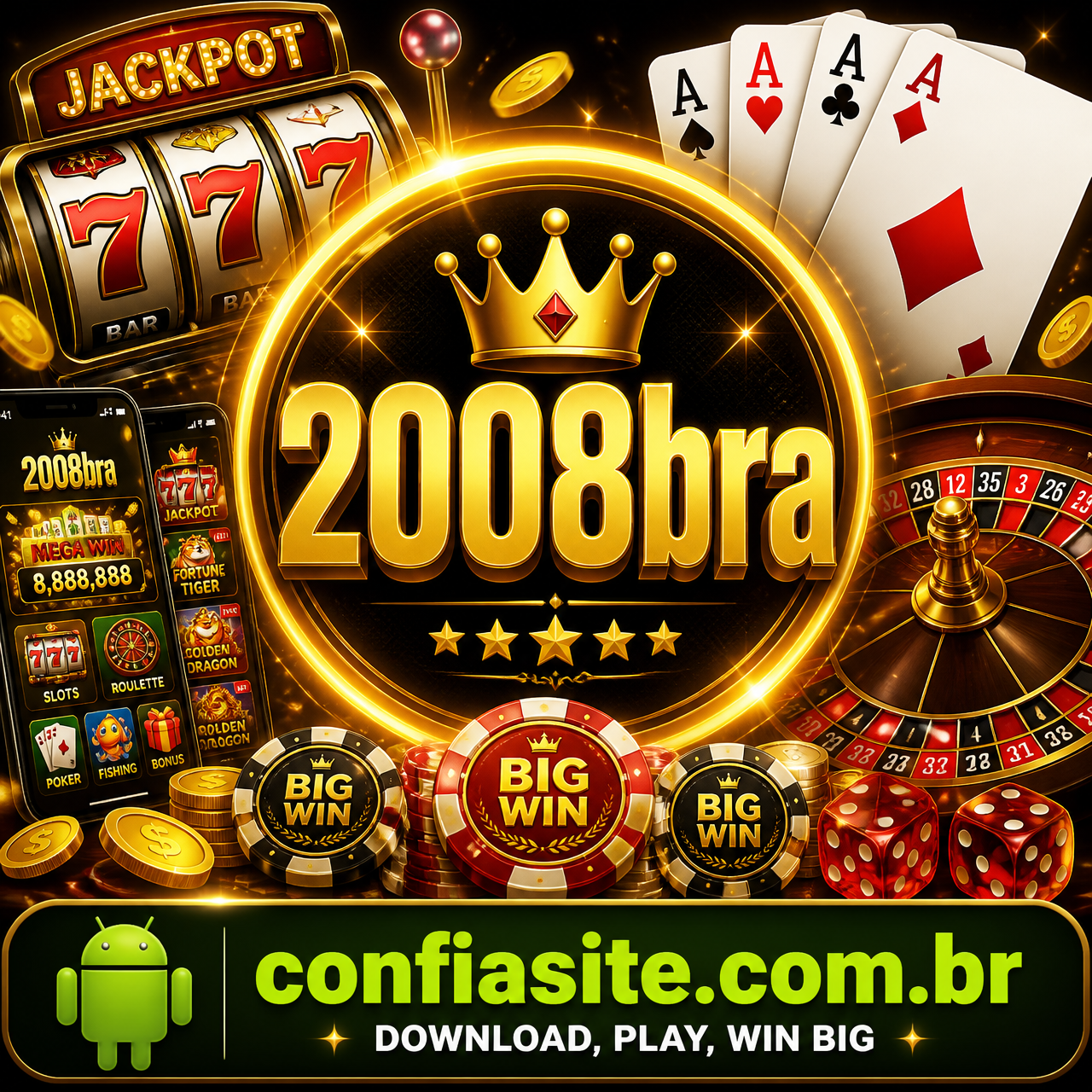 2008bra