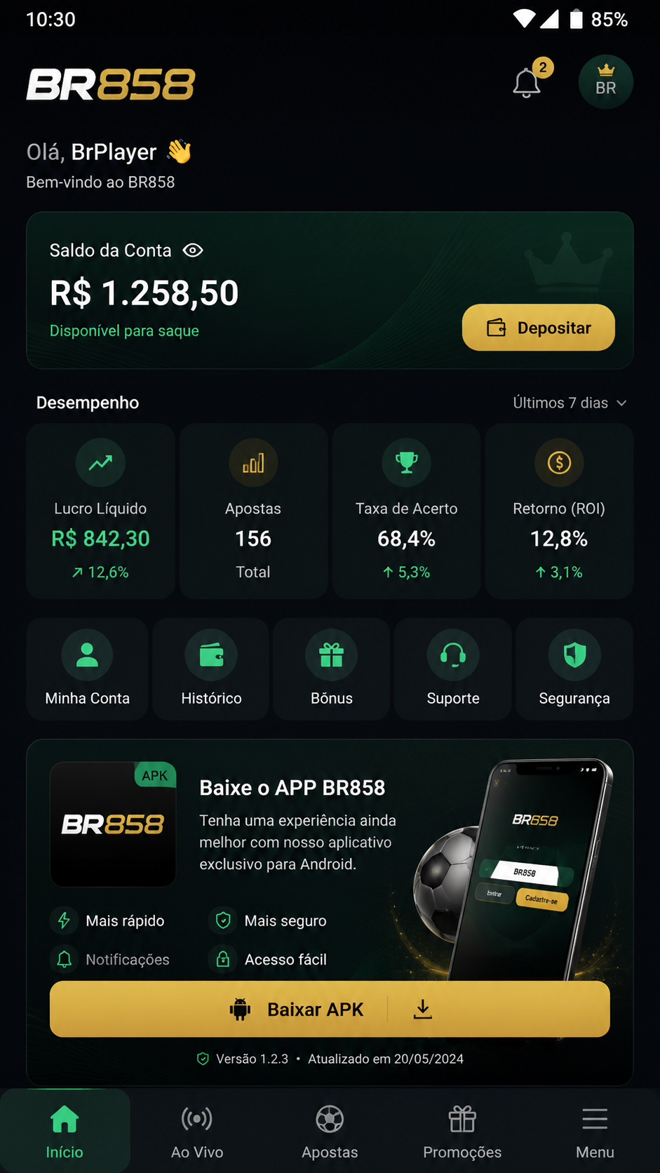 br858 screenshot