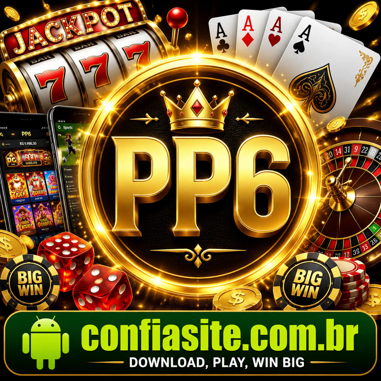 PP6